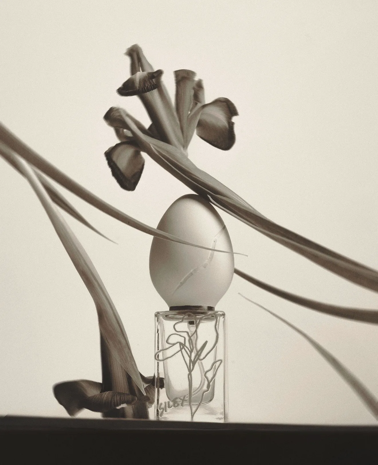 Perfume Who: Adding Scent to Silent Cinema — image 5